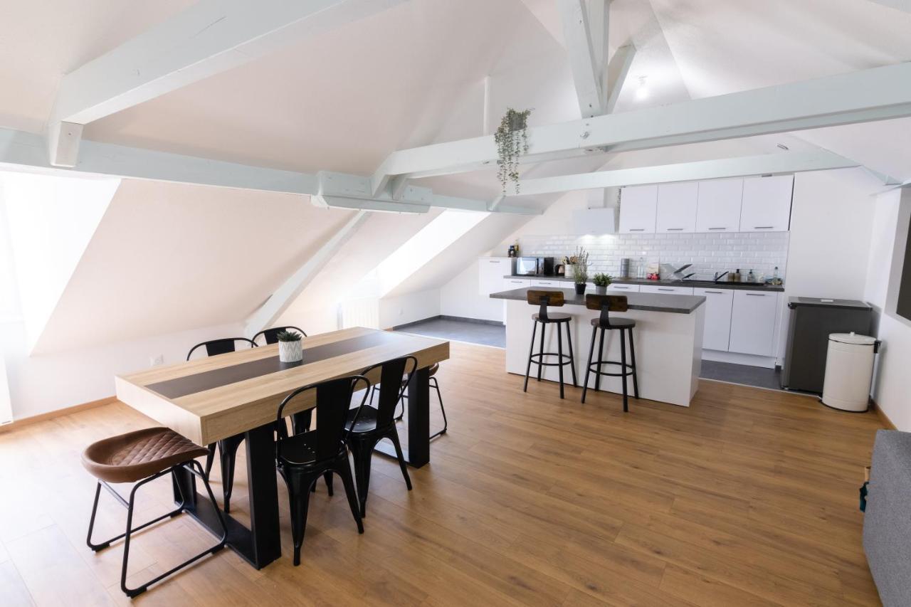 Appartement Atypique Proche Gare/ Dans L'Hyper-Centre Spacieux Pour 6P Au Coeur De Mulhouse Exterior photo